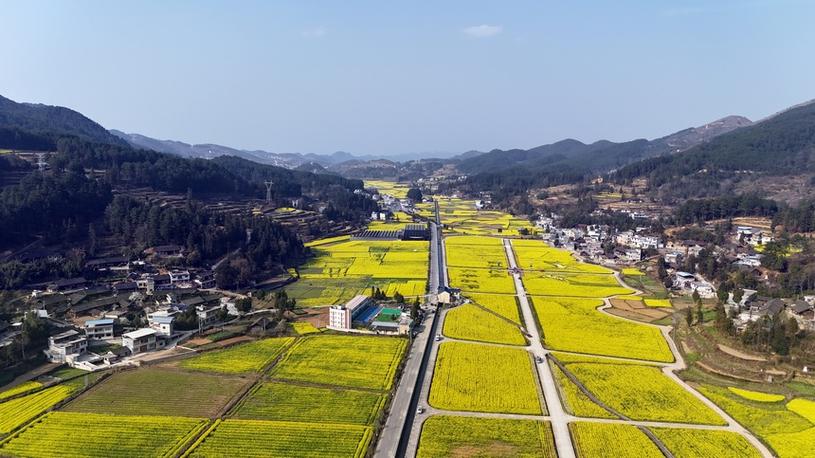 【地方食闻】贵州铜仁石阡县七大举措助产业升级
