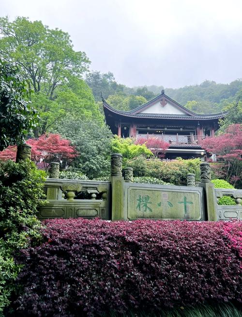 十八棵御茶树推进西湖龙井茶产业和文化发展的实践