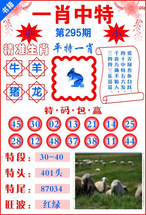 2024澳门特马今晚开奖06期5.10号-精选释义、解释与落实与警惕虚假宣传