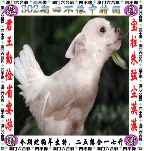 2025澳门精准正版免费四不像-全面释义、解释与落实与警惕虚假宣传
