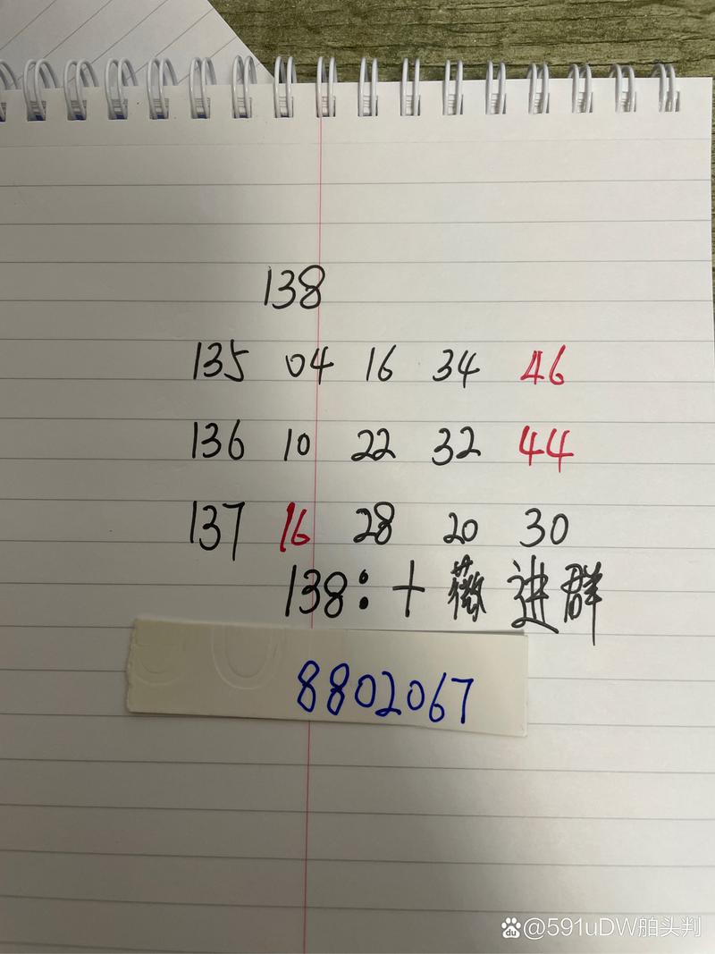新澳历史开奖记录查询结果,精选释义、解释与落实与警惕虚假宣传