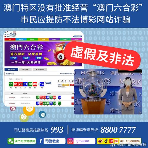 2024澳门正版资料大全免费挂牌,全面释义、专家解释与落实与警惕虚假宣传