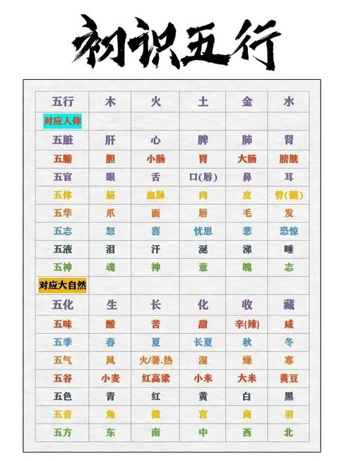 2024香港免费资料六会宝典五行,未来五年必备知识全解析