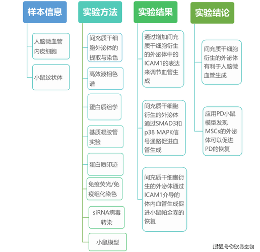 2025新奥资料正版大全,全面释义、解释与落实与警惕虚假宣传