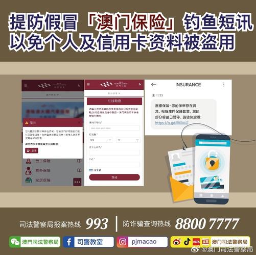 澳门资料大全,正版资料查询,精选释义、解释与落实与警惕虚假宣传