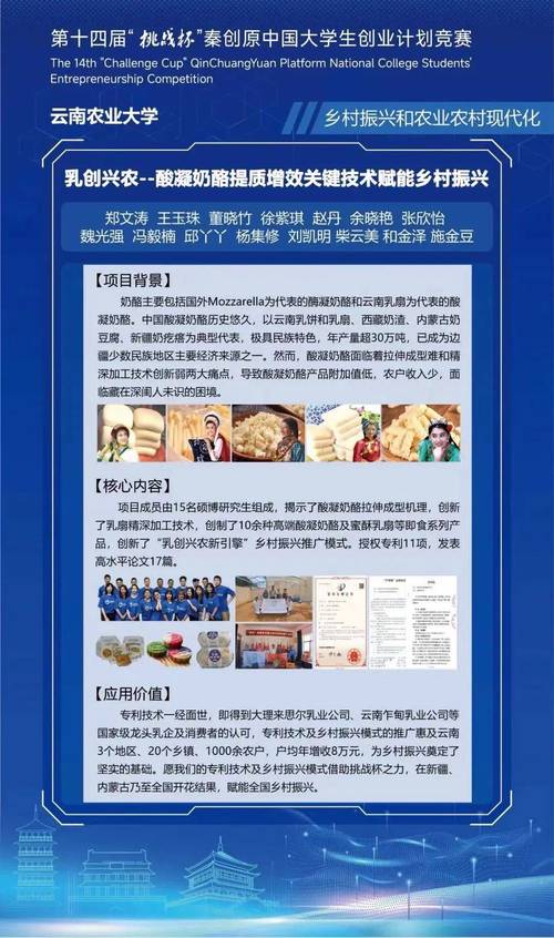 2025年新澳门历史记录查询表,全面释义、解释与落实与警惕虚假宣传