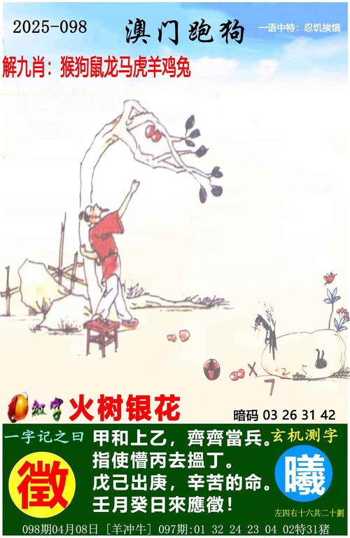 2025澳门今晚开奖现场直播下载,2025全面解析实用技巧分享