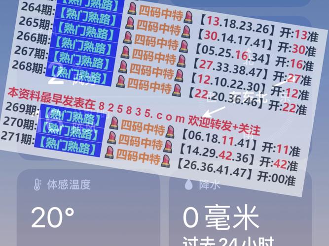 2025新奥资料正版大全-2025全面解析实用技巧分享